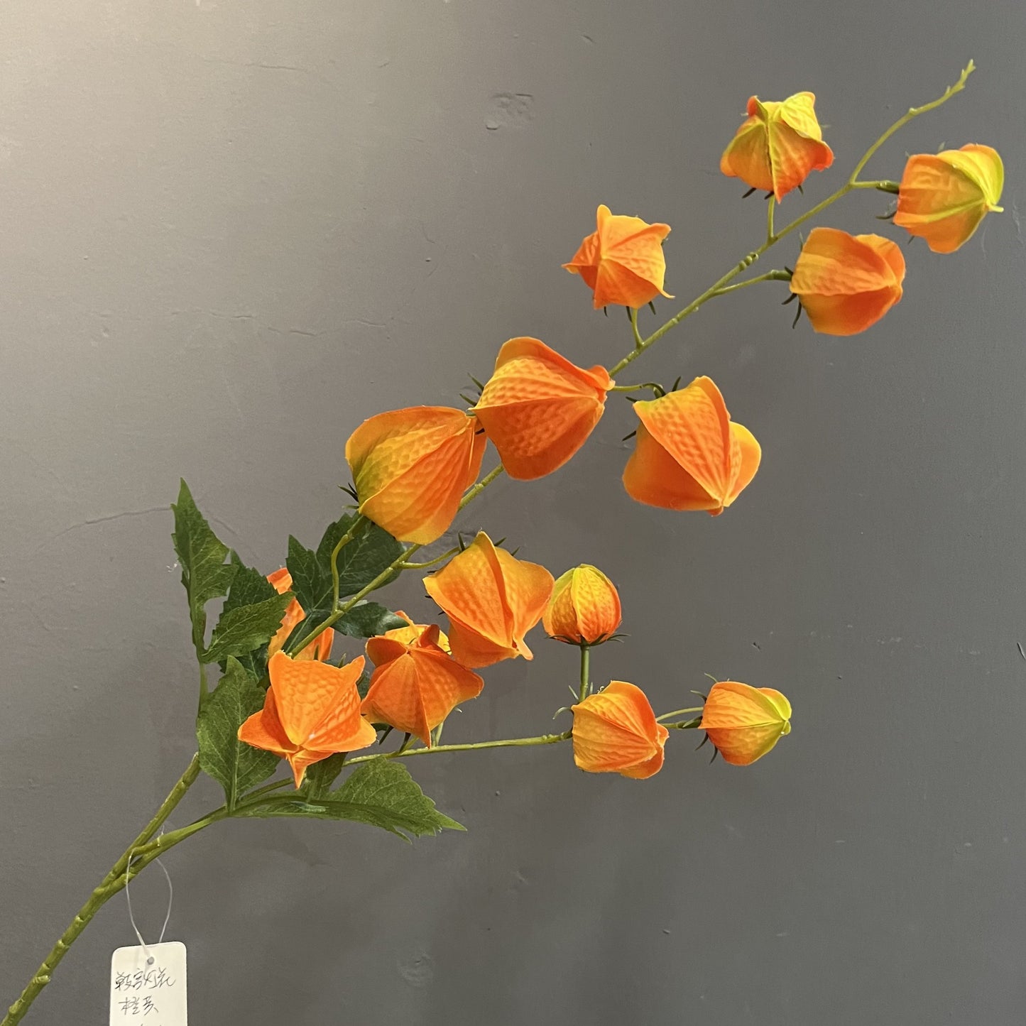 Koelreuteria paniculata fruit artificial flower golden berry high-quality display model room folk flower art ornaments wedding photography props