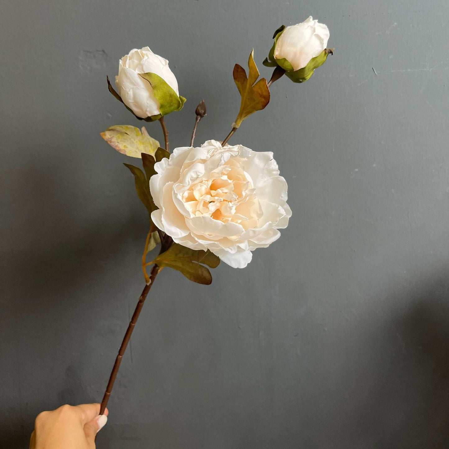 Retro charred edge peony artificial flowers wedding simulated flowers home floral decoration shooting props