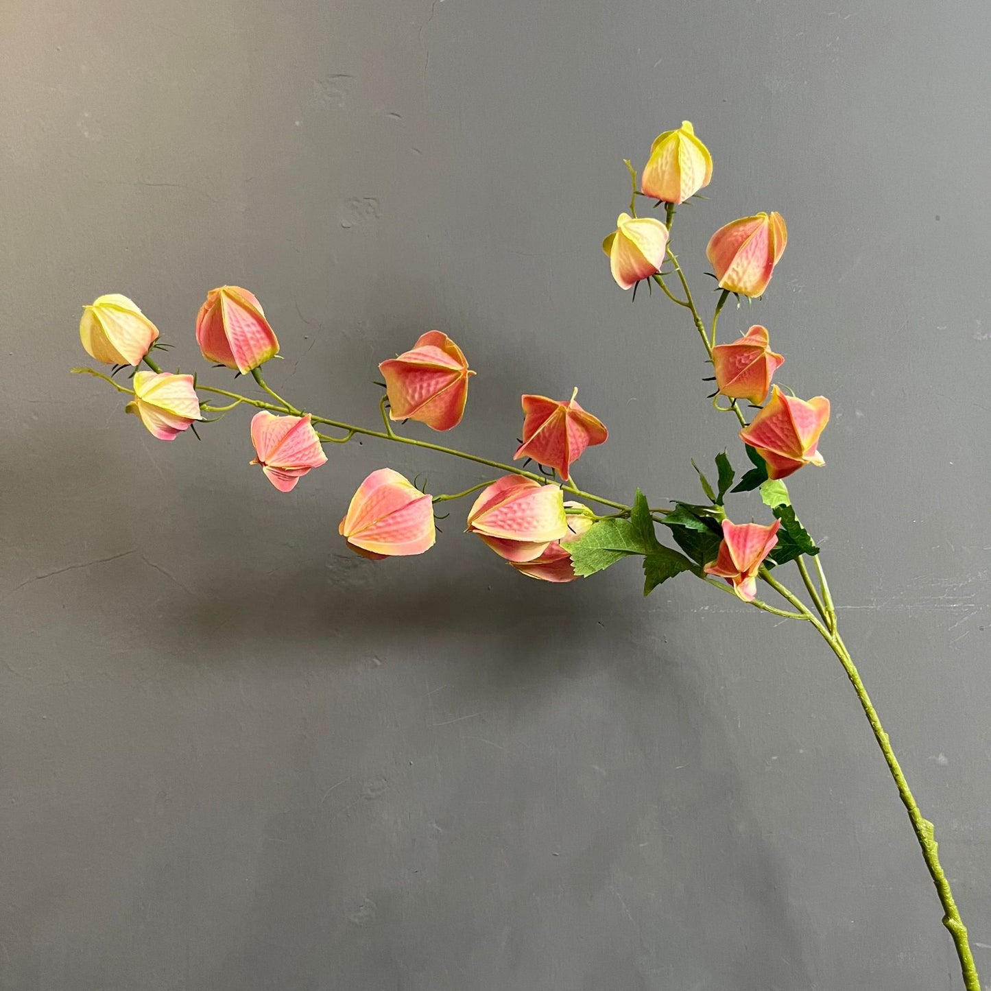 Koelreuteria paniculata fruit artificial flower golden berry high-quality display model room folk flower art ornaments wedding photography props