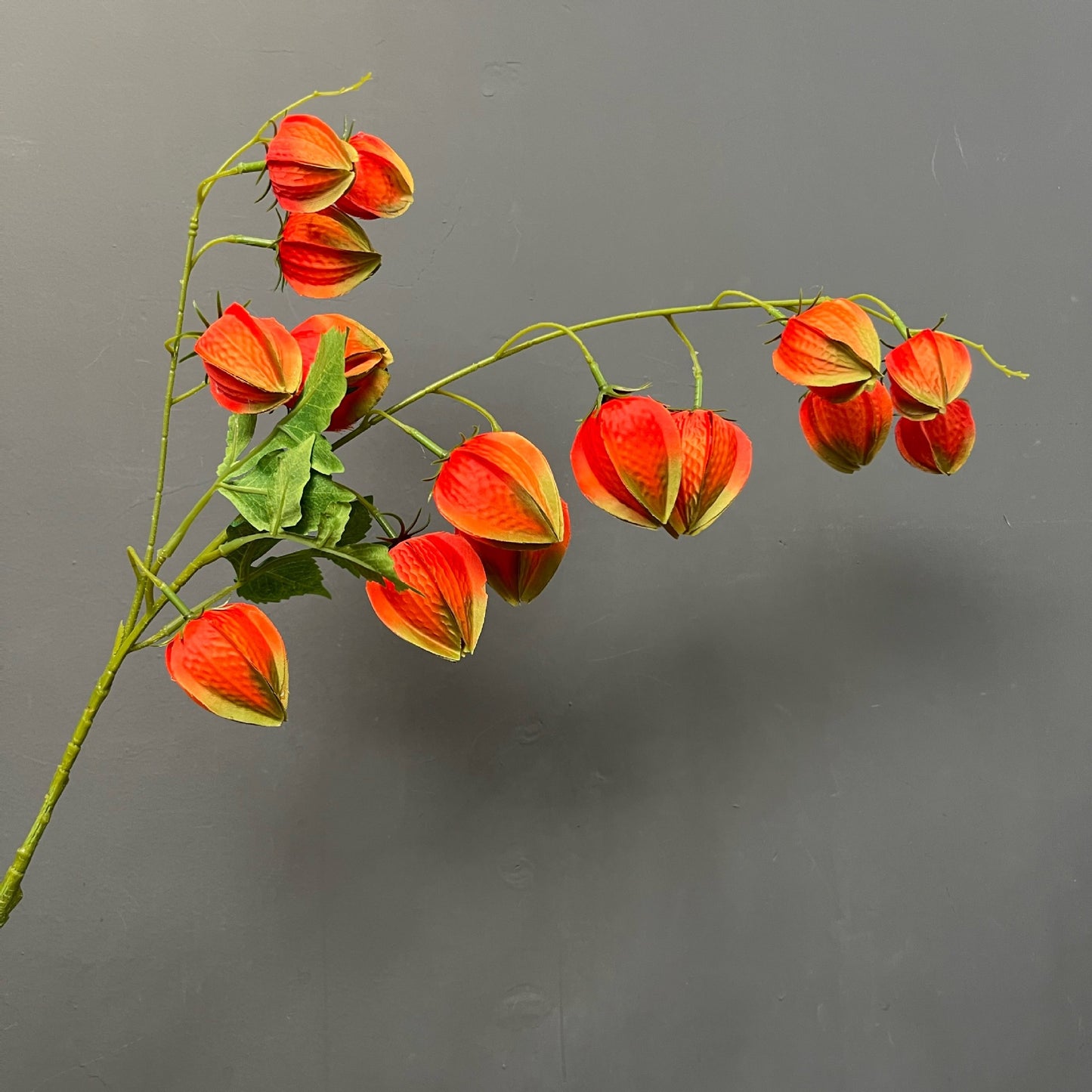 Koelreuteria paniculata fruit artificial flower golden berry high-quality display model room folk flower art ornaments wedding photography props